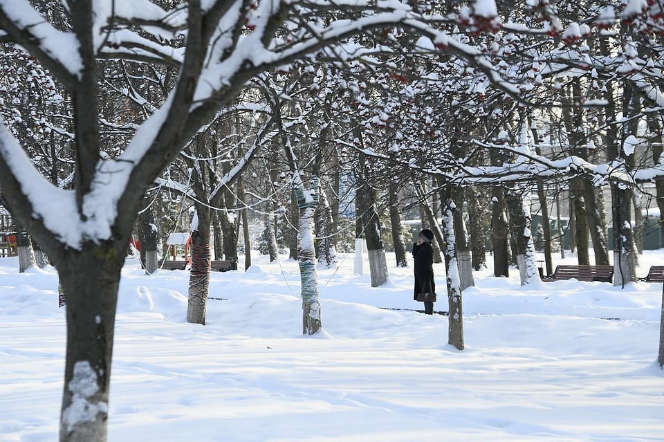 Ветер 9 февраля. Тульский парк зимой. Тула погода зимой. Снежная погода Тула. Тула в феврале погода.